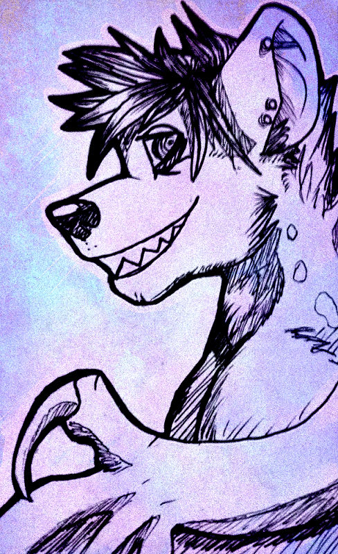 Ash Wolves Az by AshWolves5 on DeviantArt