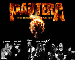 Pantera Wallpaper