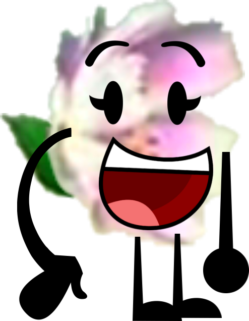 Rose chan bfdi oc by megaenterprises8089 on DeviantArt