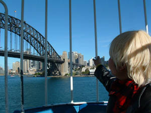 Punk England in a Ferris Wheel