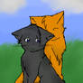 Fireheart xx Cinderpelt