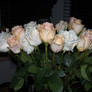 White Roses