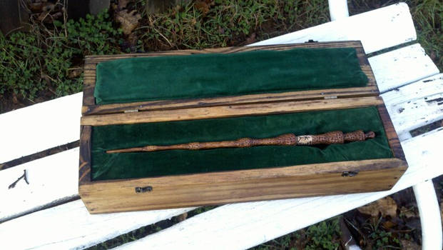 Elder wand with box