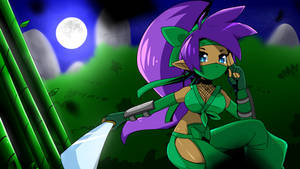 Ninja shantae