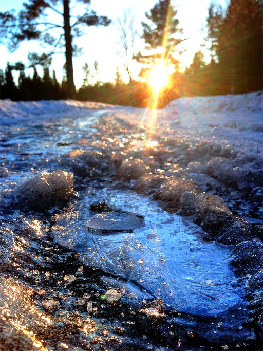 Frozen Footstep