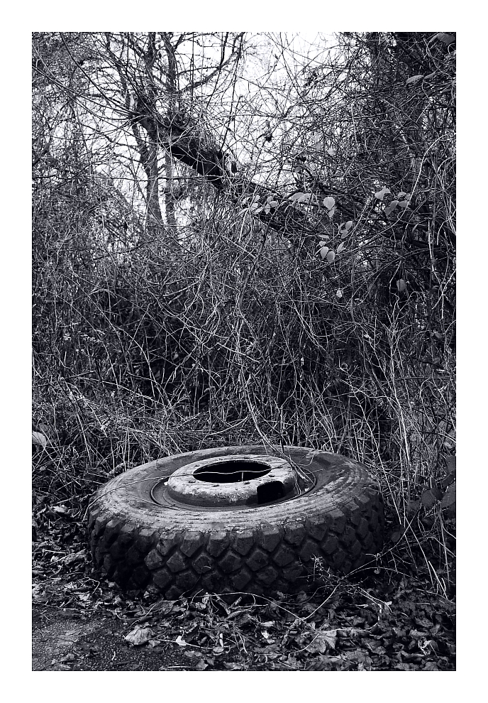 Old truck tire