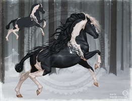 Horse Adopt (closed)
