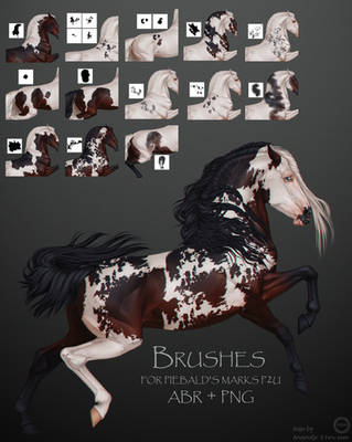 Brushes for piebald's marks
