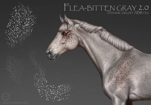 Flea-bitten gray brush.