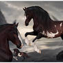 Horse Adopt (closed)