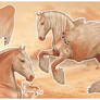 Horse Adopt (open)