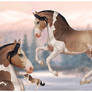 Horse Adopt (open)