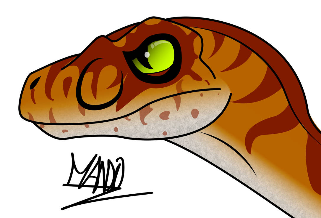 Wild Raptor by rainbowarmas on DeviantArt