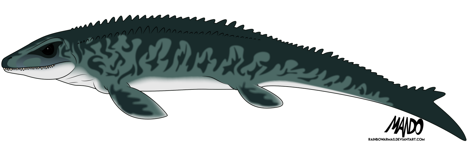 Mosasaurus by rainbowarmas on DeviantArt