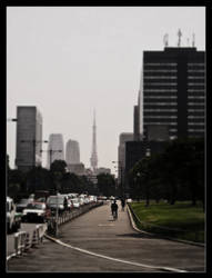 Tokyo Bike Tour