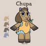 Chupa Swimsuit
