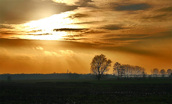 Golden clouds