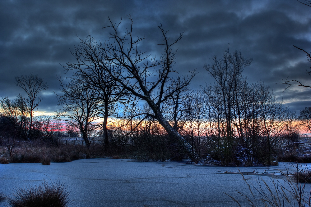 Dark morning in the moor