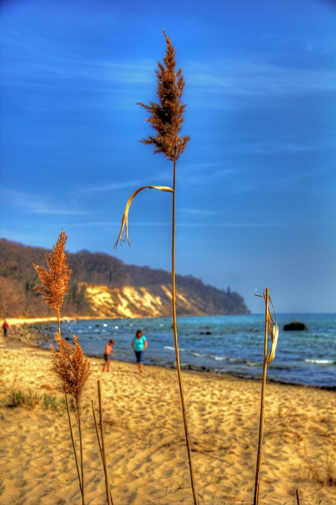 At the beach