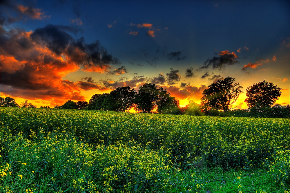 Colors of spring by chevyhax Colors of spring by chevyhax