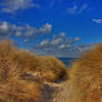 In The Dunes