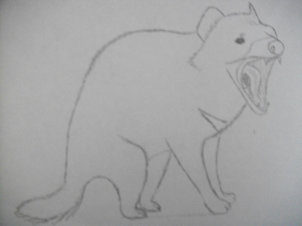 Tasmanian Devil Sketch Uncolored by SarcophilusHarrisi on DeviantArt