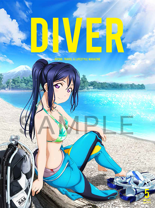 the monthly DIVER 2017 may