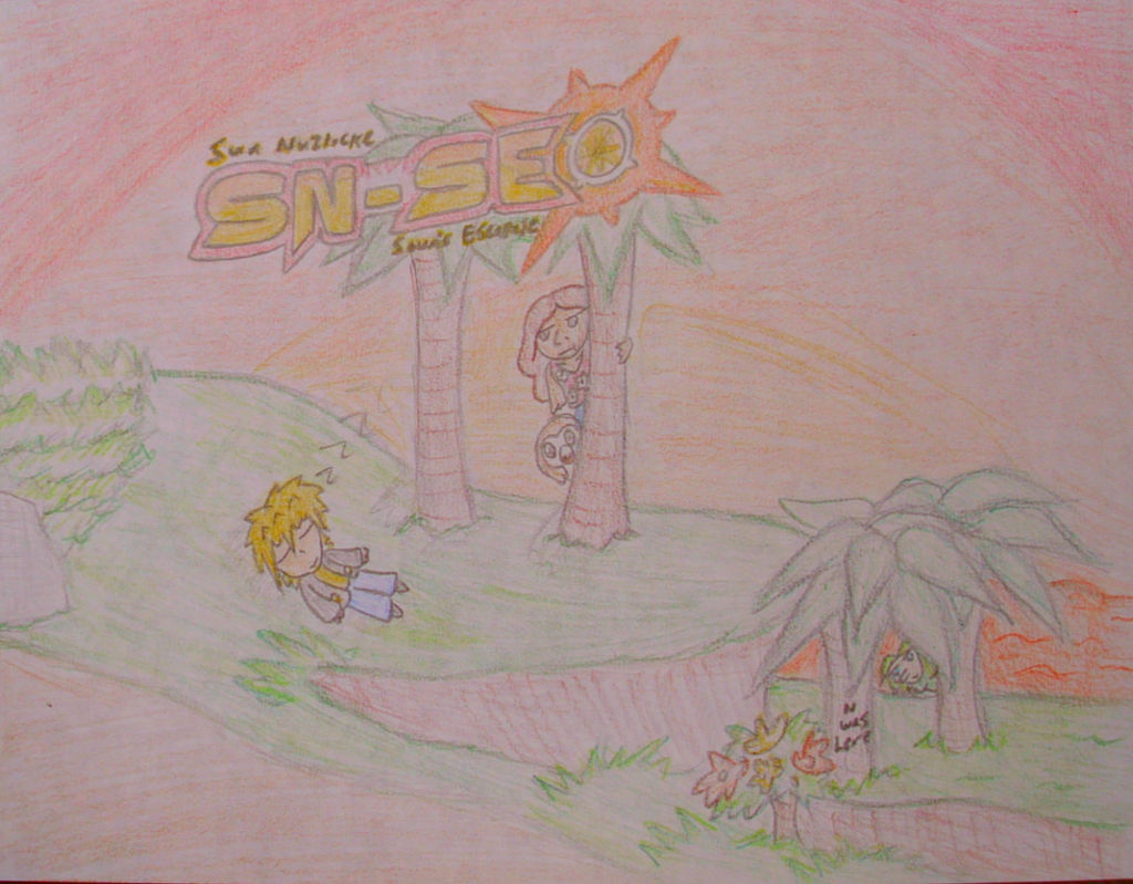 SN-SE Cover