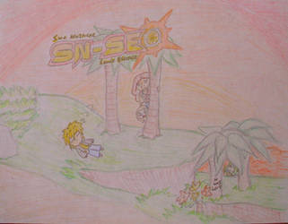 SN-SE Cover