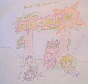 1 fucking year of SN-SE