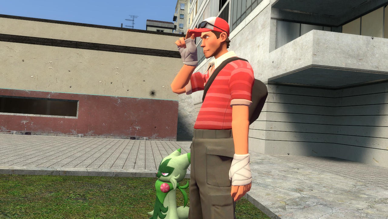 Pokemon Trainer and Floragato by NikoTak04 on DeviantArt
