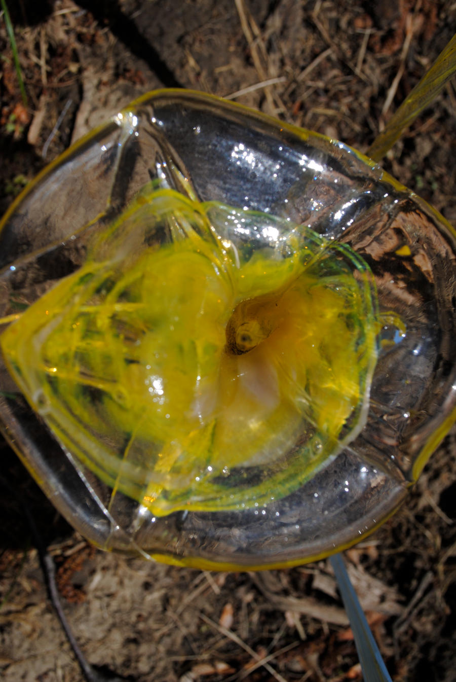 Glass Garden Flower Yellow and Clear