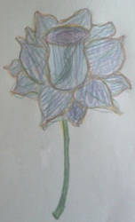 Old flower thingy