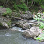 Natural Bridge