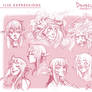 Ilse expressions