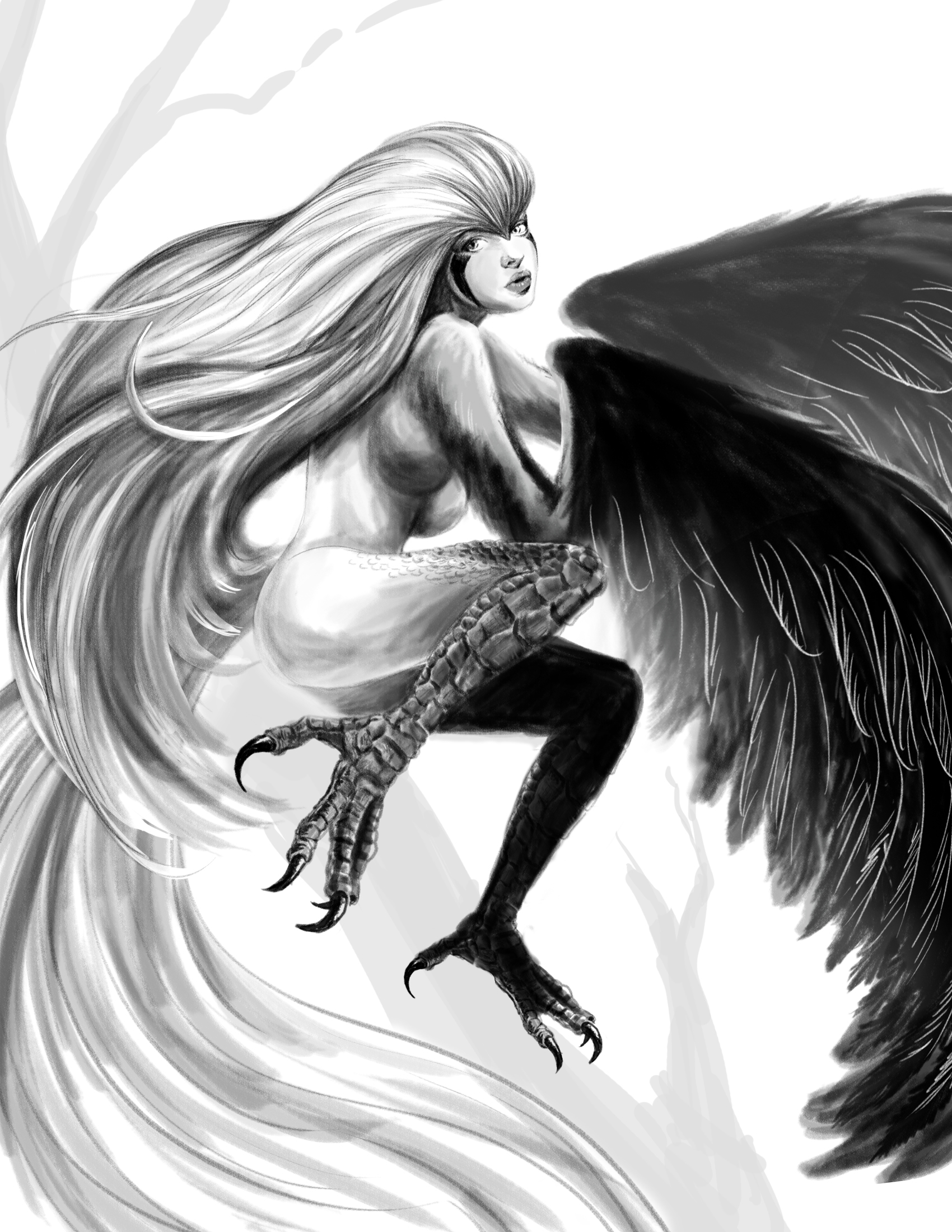 Harpy