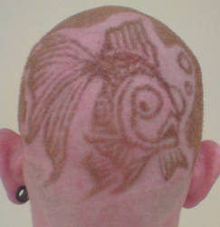 Goldfish Hair Etching