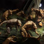 Frenzy War