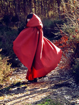 little red ridinghood