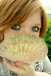Shell stock by gc-stock