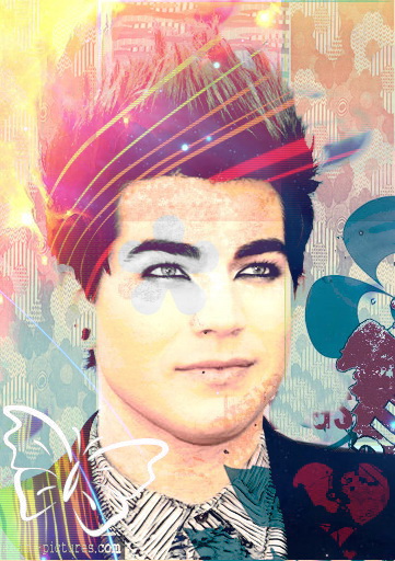 adam lambert 2011