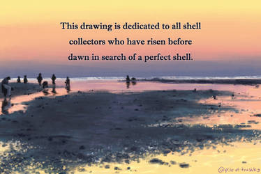 to all shell collectors