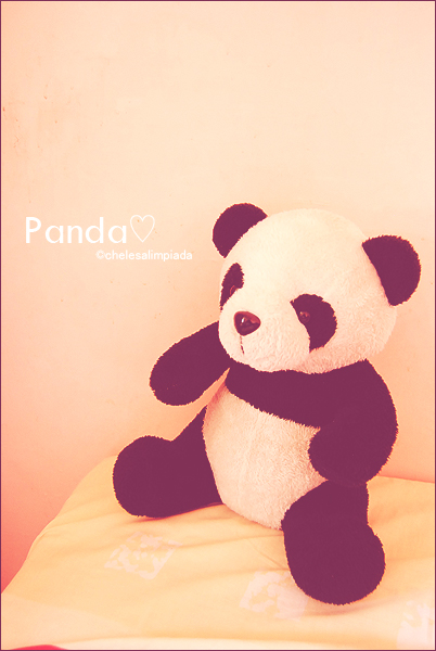 Panda Love