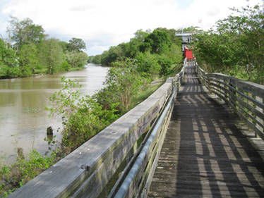 Boardwalk