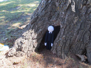Slenderman in a tree