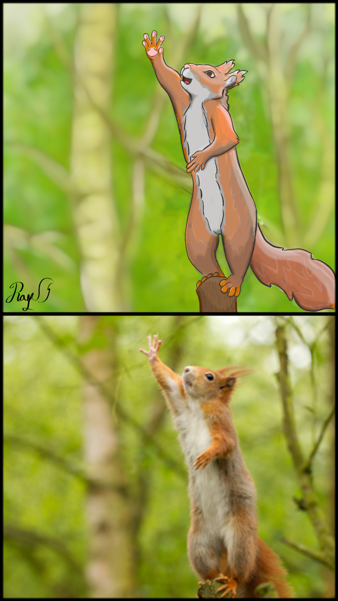 Deviantart Risumon Squirrel Squirrel by ElRaySciurus on DeviantArt