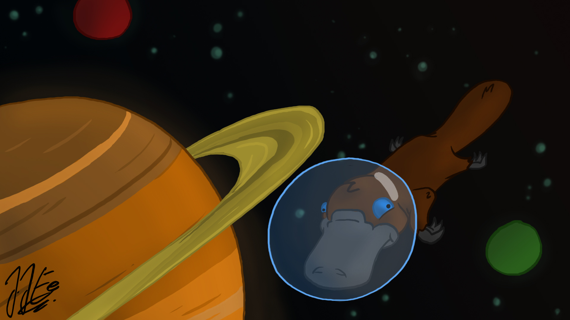 Platypus In Space