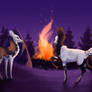 Night Embers