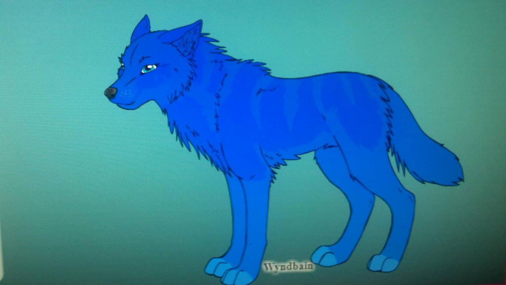 wolf oc by WolfGuardian221 on DeviantArt