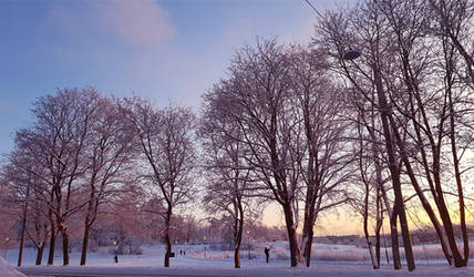 Winter Morning by Luddox